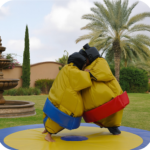 Sumo Wrestler