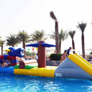 Dragon Obstacle DRAGON OBSTACLE COURSE