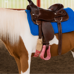 Pony Rides (3 Hours) Pony Rides (3 Hours)