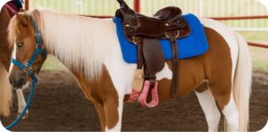 Pony Rides (3 Hours)