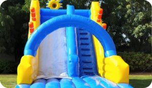 Party Rental