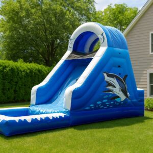 Shark Slide Shark Slide with pool